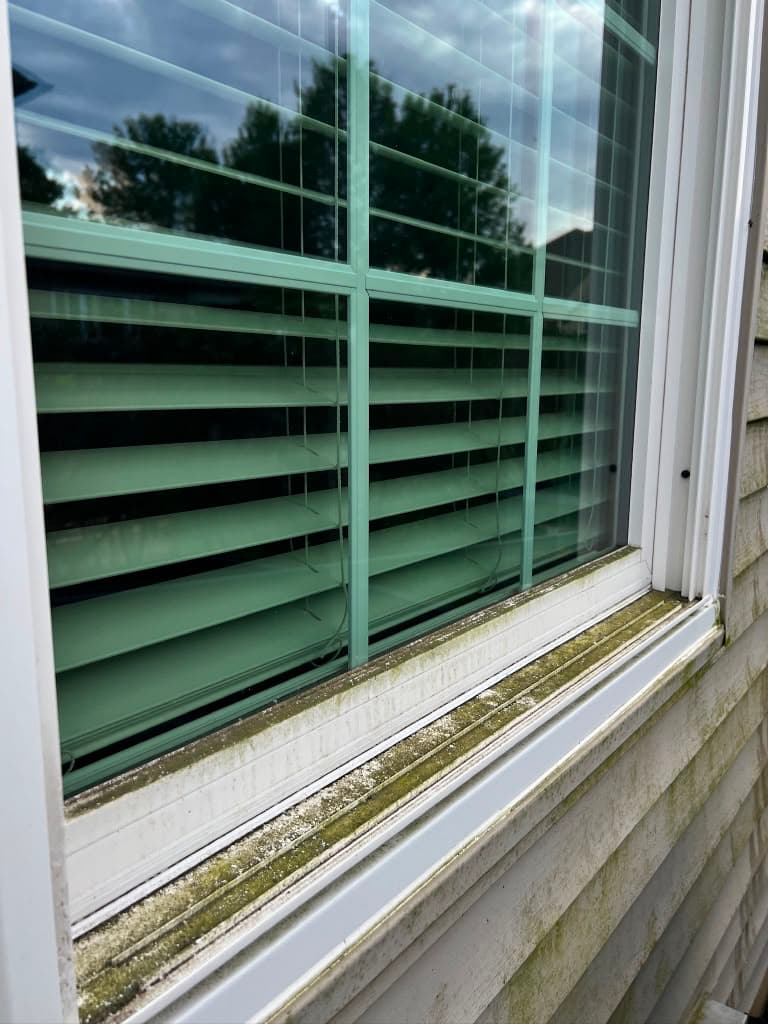 Window sill and track green with moss before cleaning in Bucks County, PA